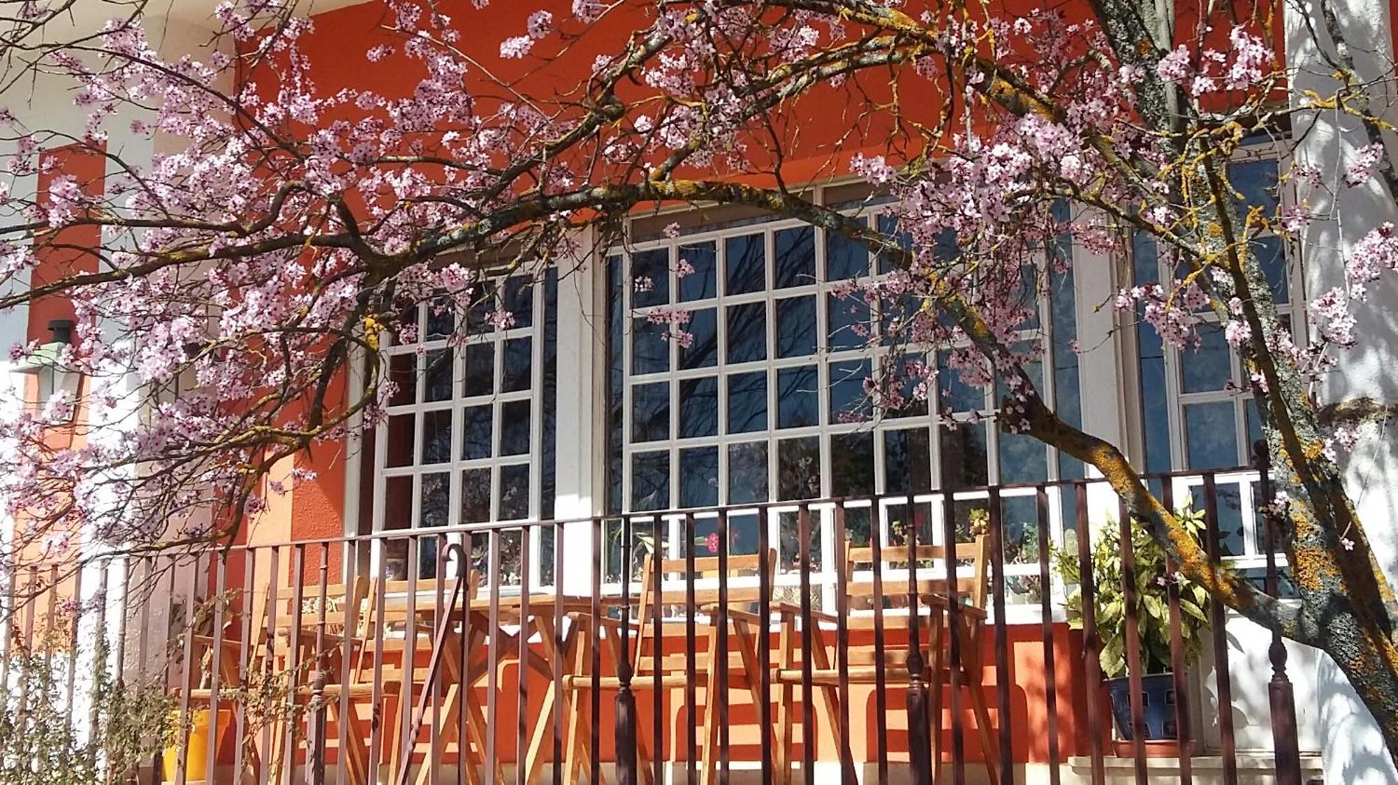 La Casa Grande De Gormaz Villa Quintanas de Gormaz ภายนอก รูปภาพ