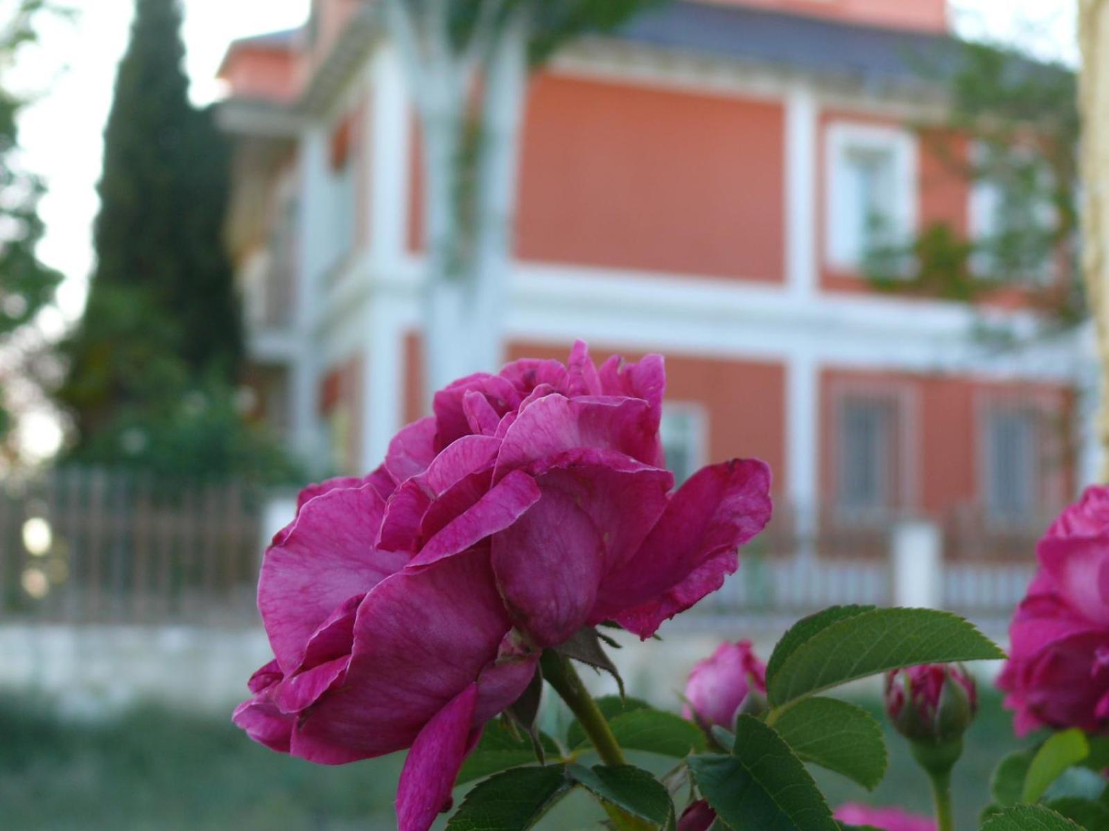 La Casa Grande De Gormaz Villa Quintanas de Gormaz ภายนอก รูปภาพ