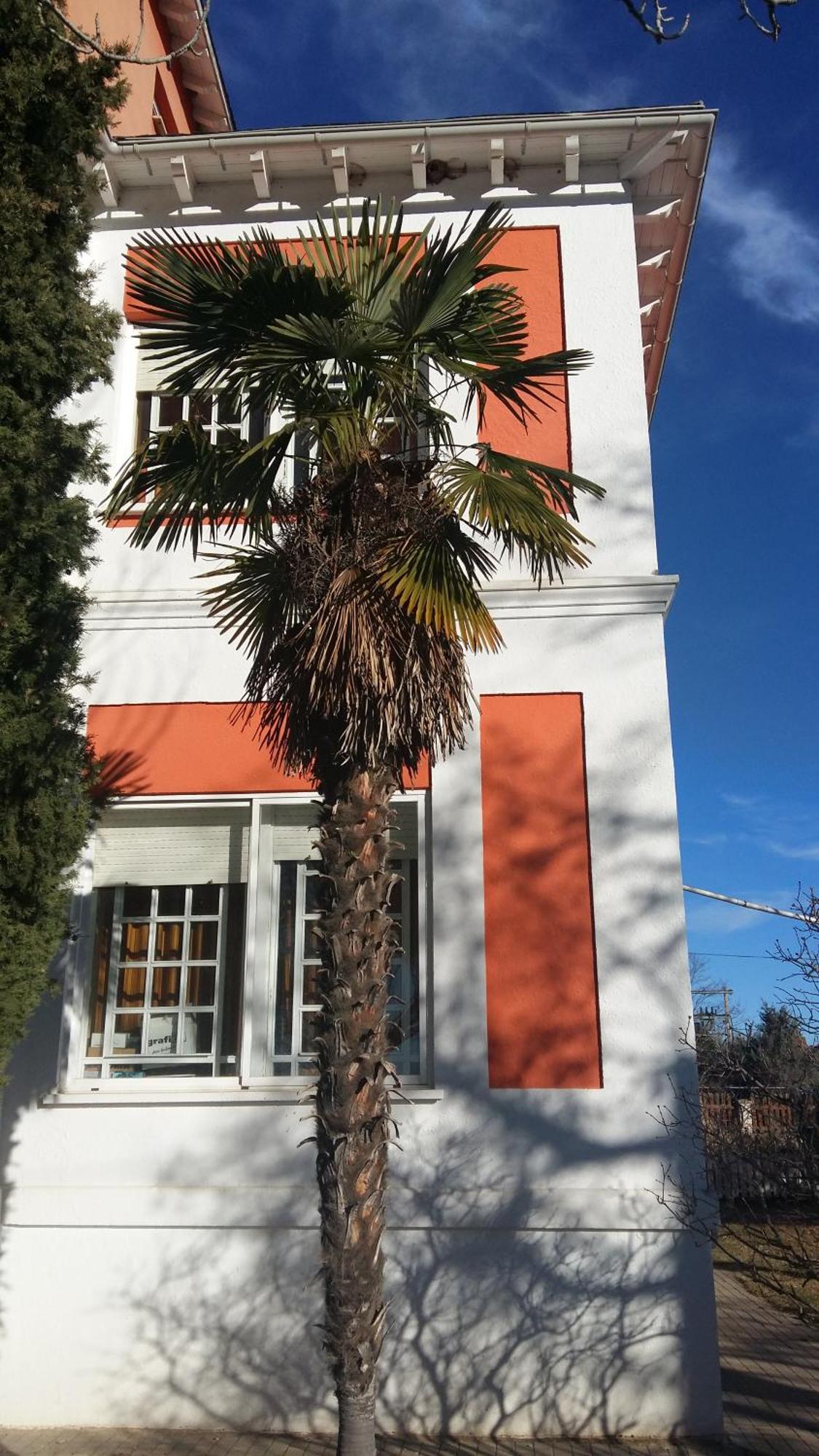 La Casa Grande De Gormaz Villa Quintanas de Gormaz ภายนอก รูปภาพ